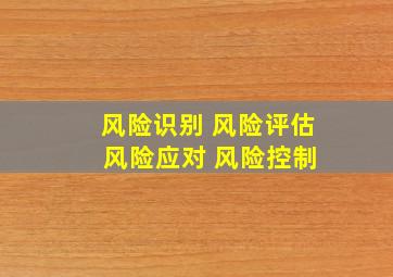 风险识别 风险评估 风险应对 风险控制